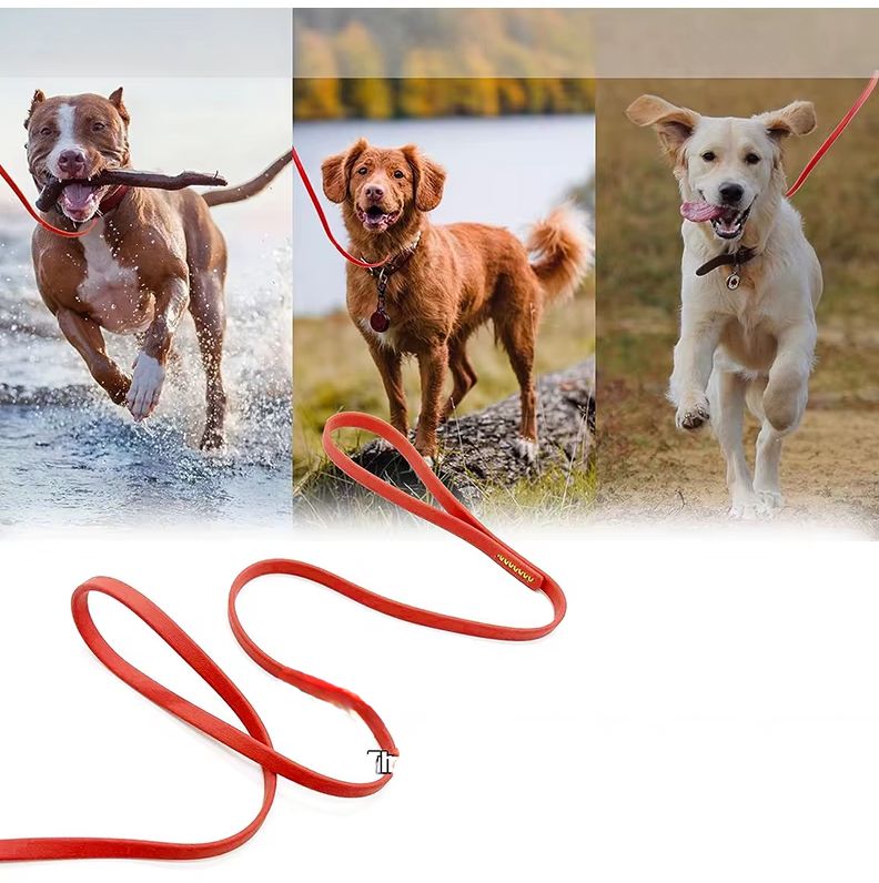 Bully retriever croise laisse pour chien rouge