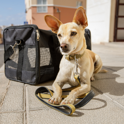 Sac de Transport pour Chien