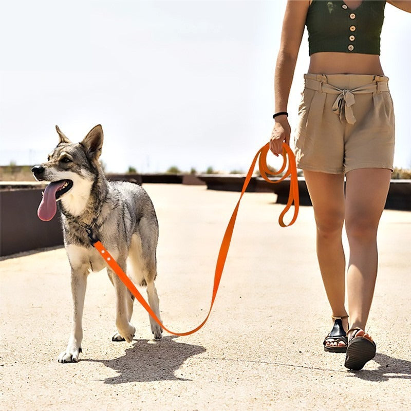 Berger allemand dame en short laisse pour chien