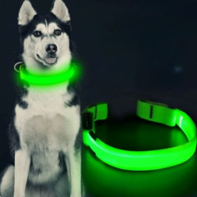 Collier Chien - LEDCollarDog™ - Vert