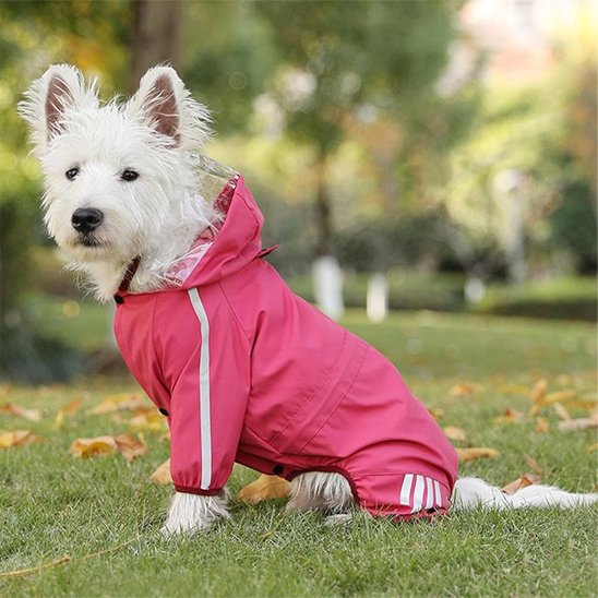 Westie-trottoir-manteau-pour-chien-rose