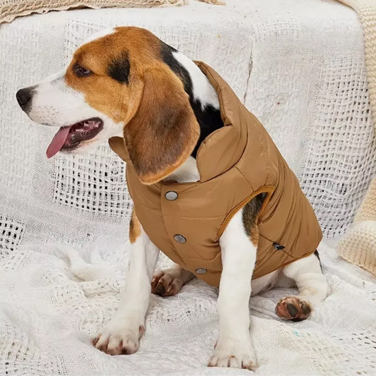 Manteau d'hiver pour chien - PolarPup ™