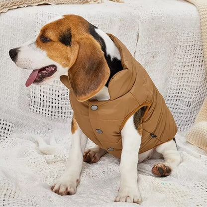 Manteau d'hiver pour chien - PolarPup ™