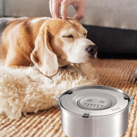 beagle relaxe tapis main massage gamelle pour chien