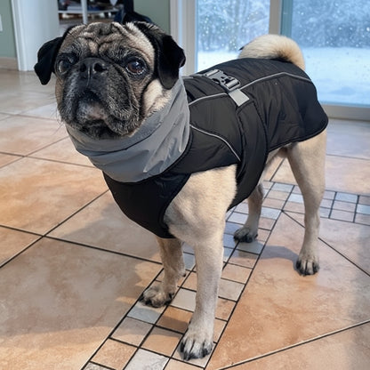 carlin-debout-céramique-maison-manteau-noir journée enneigé