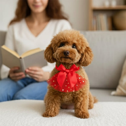 dame canapé fait lecture-caniche-collier-chien-rouge
