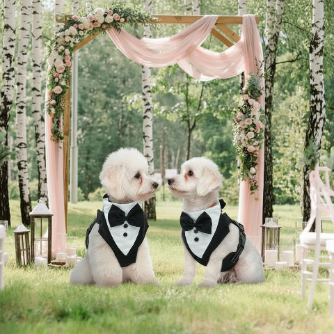 Dog Harness - Tuxedo™