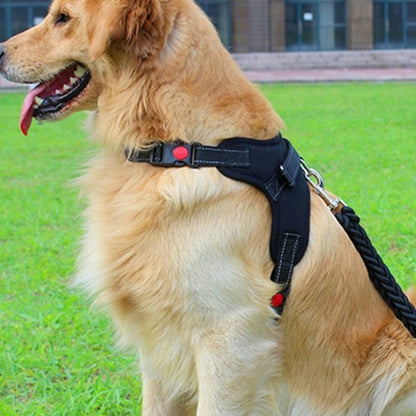 golden retriever harnais pour chien noir