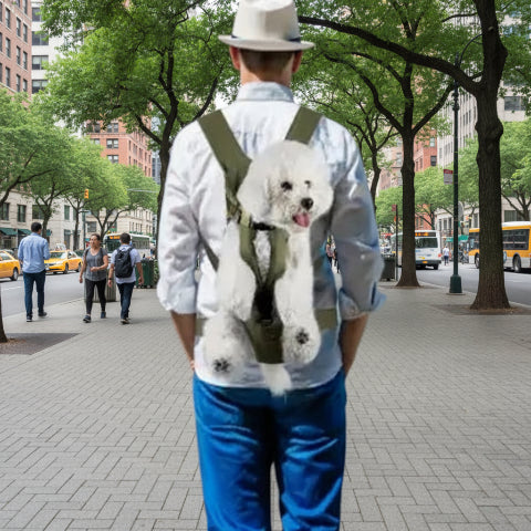 homme en ville  porte-dos-caniche-sac-a-dos-pour-chien