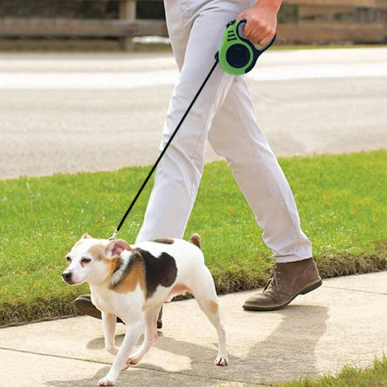 homme trottoir beagle laisse pour chien vert