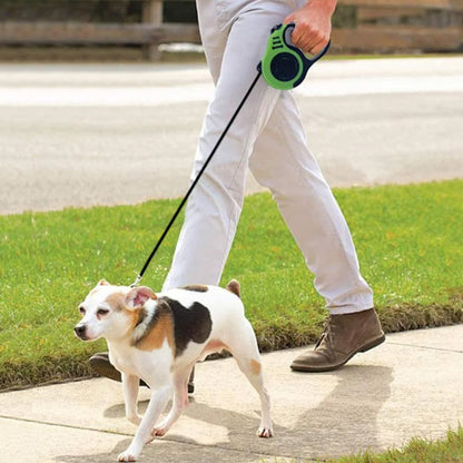 homme trottoir beagle laisse pour chien vert