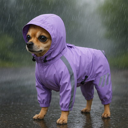 chihuahua-pluie-manteau-pour-chien-violet