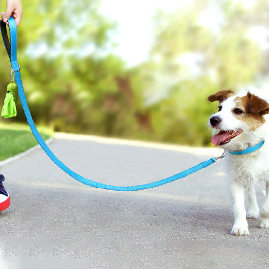 jack Russel main homme chemin asphalte laisse pour chien bleu