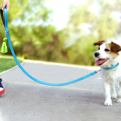 jack Russel main homme chemin asphalte laisse pour chien bleu