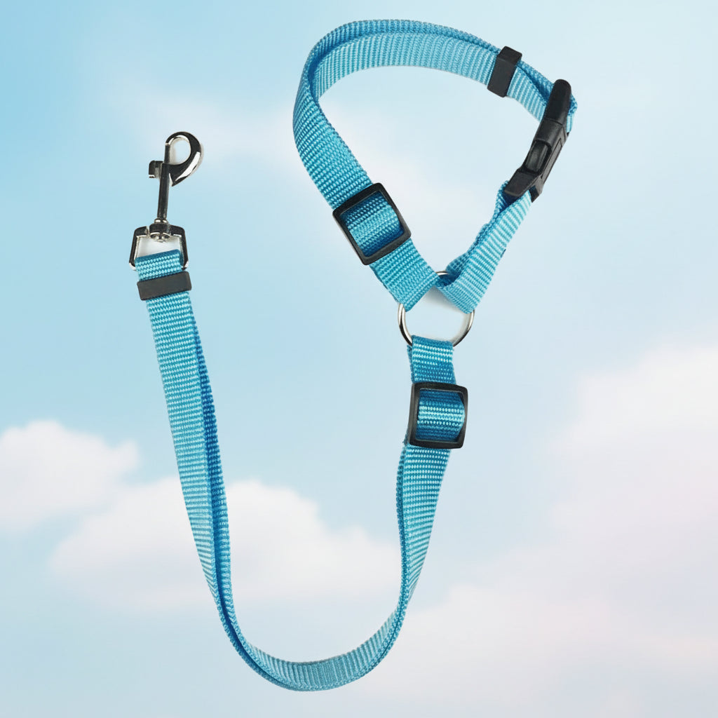 laisse-chien-bleu-ciel-nuage-douceur