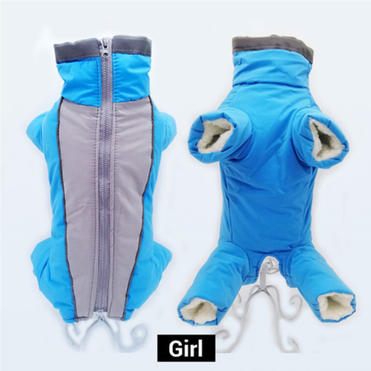 manteau-chien-femelle-bleu