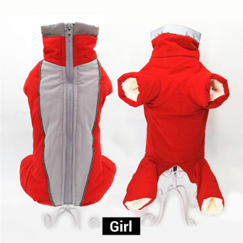 manteau-chien-femelle-rouge