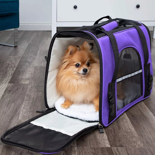 poméranien-plancher-sac-de-transport-pour-chien-mauve