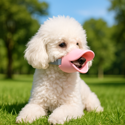 poodle coucher herbe museliere chien rose