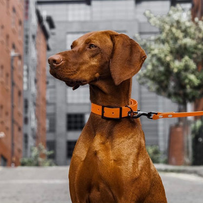 Laisse pour chien - PVC ultra léger™