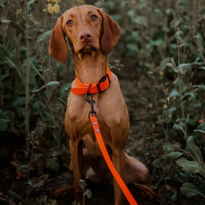 Laisse pour chien - PVC ultra léger™