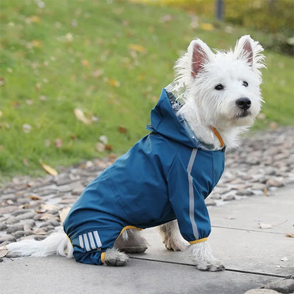 westie-assis-trottoire-manteau-pour-chien-bleu
